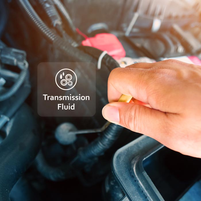 Transmission Fluid Service